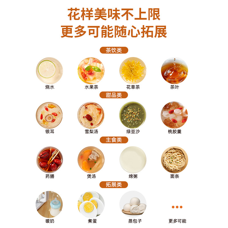  奥克斯劲辉冬华养生壶/煎药壶