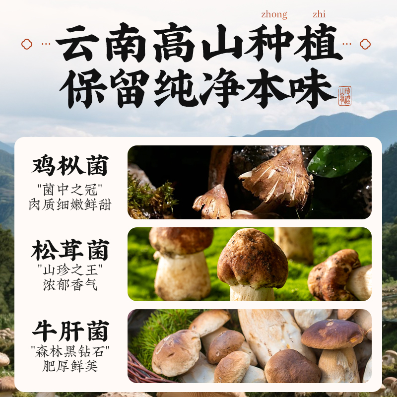 云山半菌菇礼盒云南特产鸡枞牛肝菌油松茸过节日送礼送长辈下饭菜 - 图0