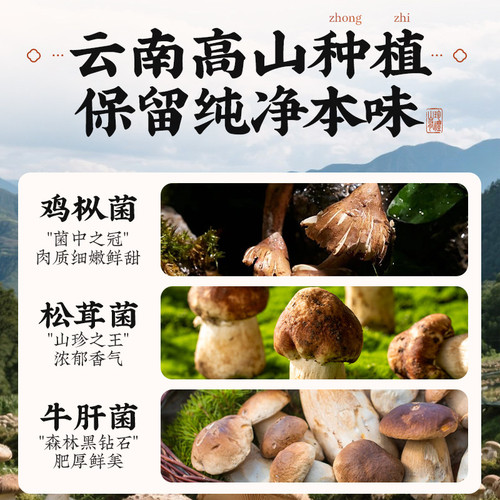 云山半菌菇礼盒云南特产鸡枞牛肝菌油松茸过节日送礼送长辈下饭菜 - 图0