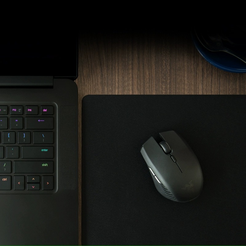 Razer Razer Viper dual-mode wireless mouse