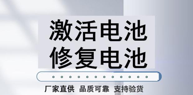 脉池修复器激活饿电死瓶电动车充z电48V电冲维护快速电池铅酸智. - 图3