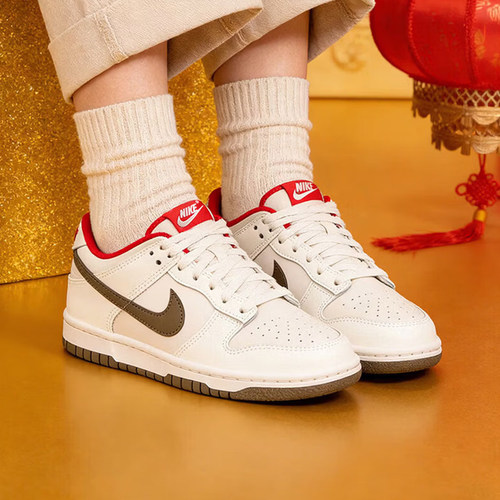 劲浪体育nike耐克大童鞋DUNK运动鞋休闲鞋IQ9793-020 - 图0