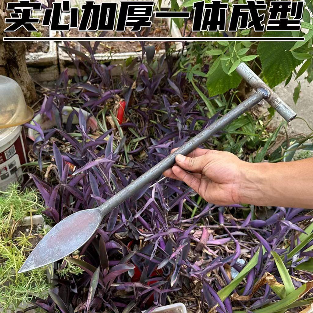 弹簧钢挖笋钢锹带柄树锹淬火T型挖笋专用采药挖竹笋铲挖豆苗钢锹 - 图1