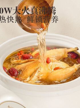 品牌电炖锅家用多功能陶瓷炖锅全自动煲汤锅煮粥炖汤智能紫砂锅