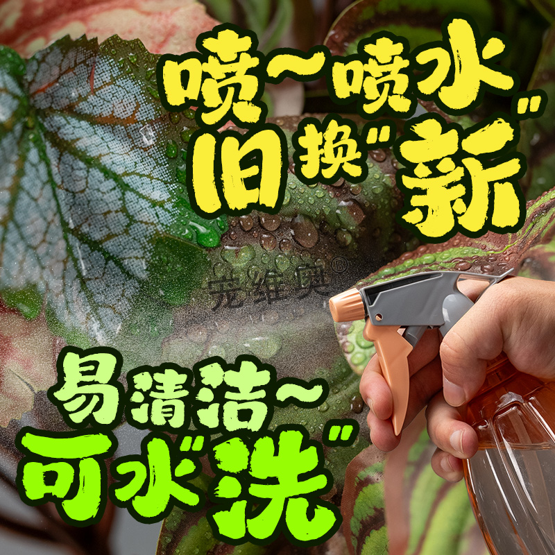 爬宠仿真热带雨林植物睫角陆龟守宫角蛙饲养盒爬宠缸树叶造景装饰 - 图0