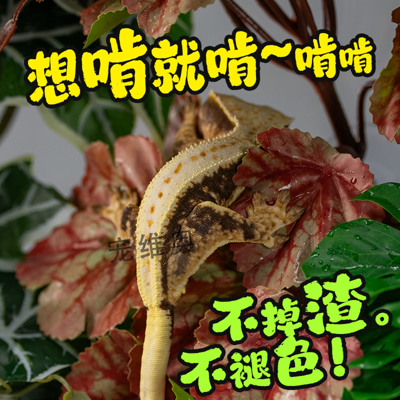 爬宠仿真热带雨林植物睫角陆龟守宫角蛙饲养盒爬宠缸树叶造景装饰 - 图2