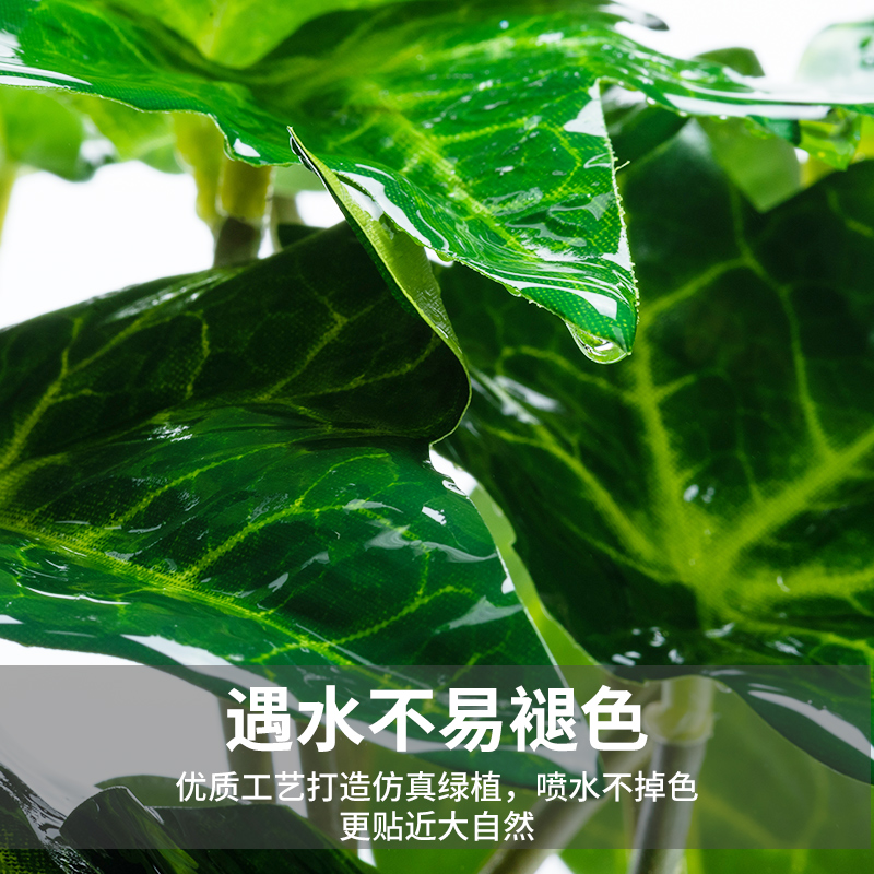 爬虫箱造景高仿真植物水陆生态缸陆龟蜥蜴守宫假植物摆件盆景装饰 - 图2