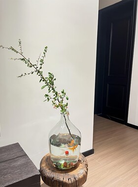 花瓶鱼缸一体大肚玻璃摆件客厅水养插花懒人鱼缸小型桌面玄关装饰