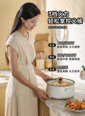 德国电煮锅家用锅多功能电炒锅
