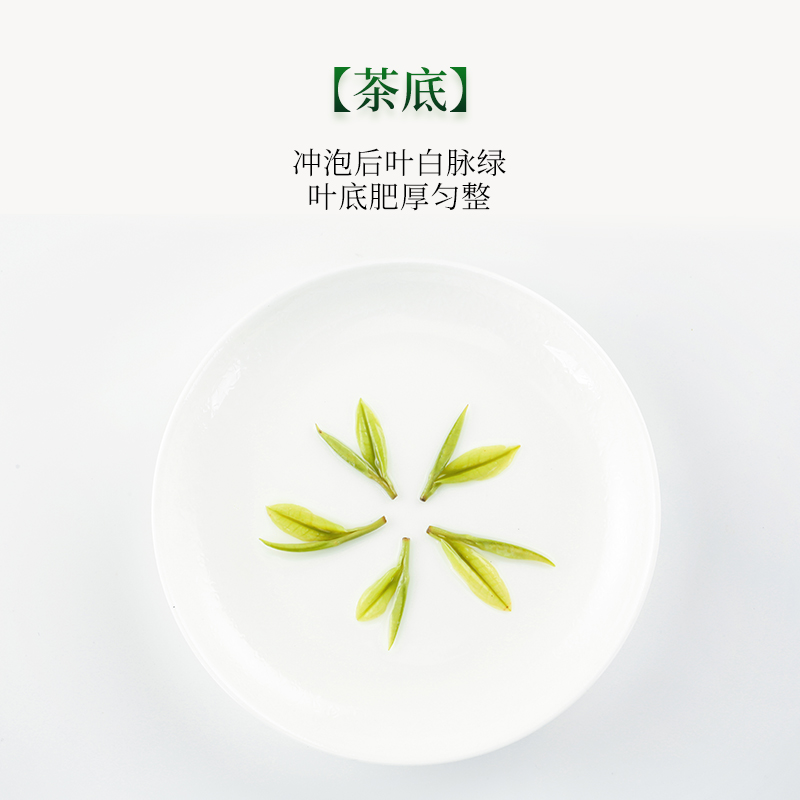 现货安吉白茶叶2022年新茶明前精品250g礼盒装特级正宗高山绿茶叶