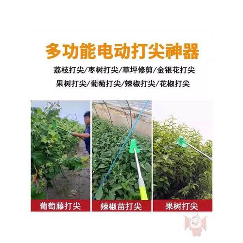 农用电动打尖机果树葡萄掐尖器辣椒荔枝枣树去顶机伸缩加长打尖器 - 图2