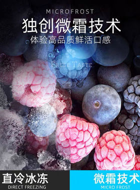冰熊铜管商用大容量冷冻节能冰柜
