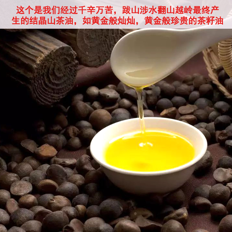 江西剥壳木梓木子茶籽仁油茶果仁茶子果山茶籽仁油茶籽仁山茶油籽-图2