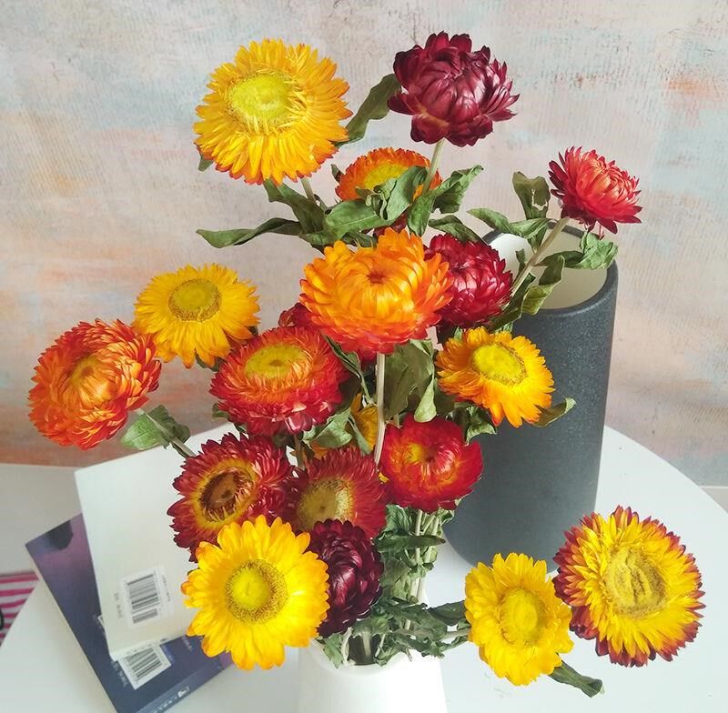 菊花束 新人首单立减十元 21年7月 淘宝海外