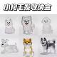 Cute puppy transparent hair storage box high-value pendant decoration commemorative gauger dust box collection toys