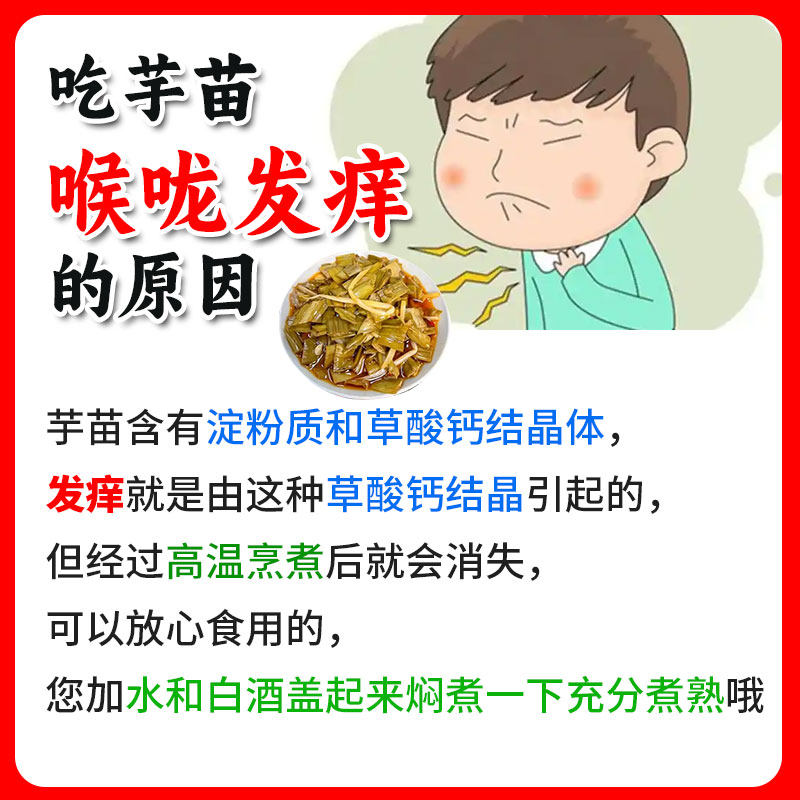 广西南宁芋苗酸芋蒙新鲜腌制芋苗杆梗农家自制特产泡菜酸菜下饭菜,淘宝优惠券,粉丝福利购,淘宝优惠卷