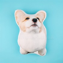 Kitty Dogs Pet Cushions Cute souvenirs Pillow Photos Tailor Made to Tuding Do a U-piece Diy and send boyfriend