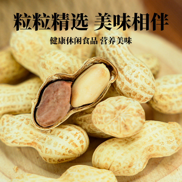 Garlic Pecan Flavor Roasted Peanuts with Shelled Nuts Roasted Seeds