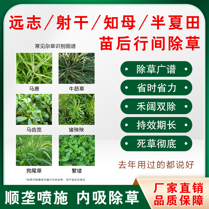 【远志/射干/知母/半夏专用除草套装】苗后旗舰店正品禾阔