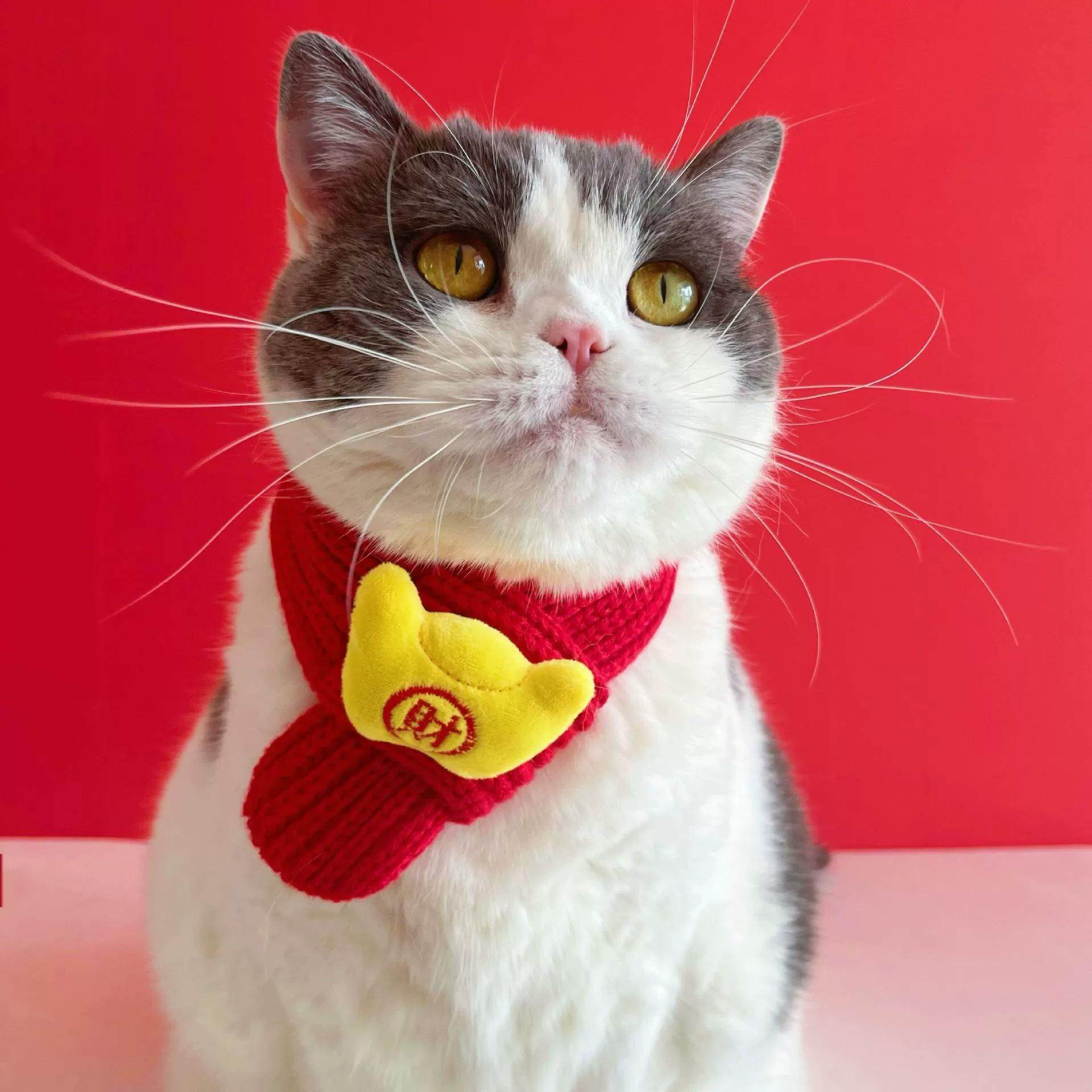 猫咪新年围脖春节围巾狗狗猫咪过年装饰毛线针织保暖平安锦鲤,淘宝优惠券,粉丝福利购,淘宝优惠卷