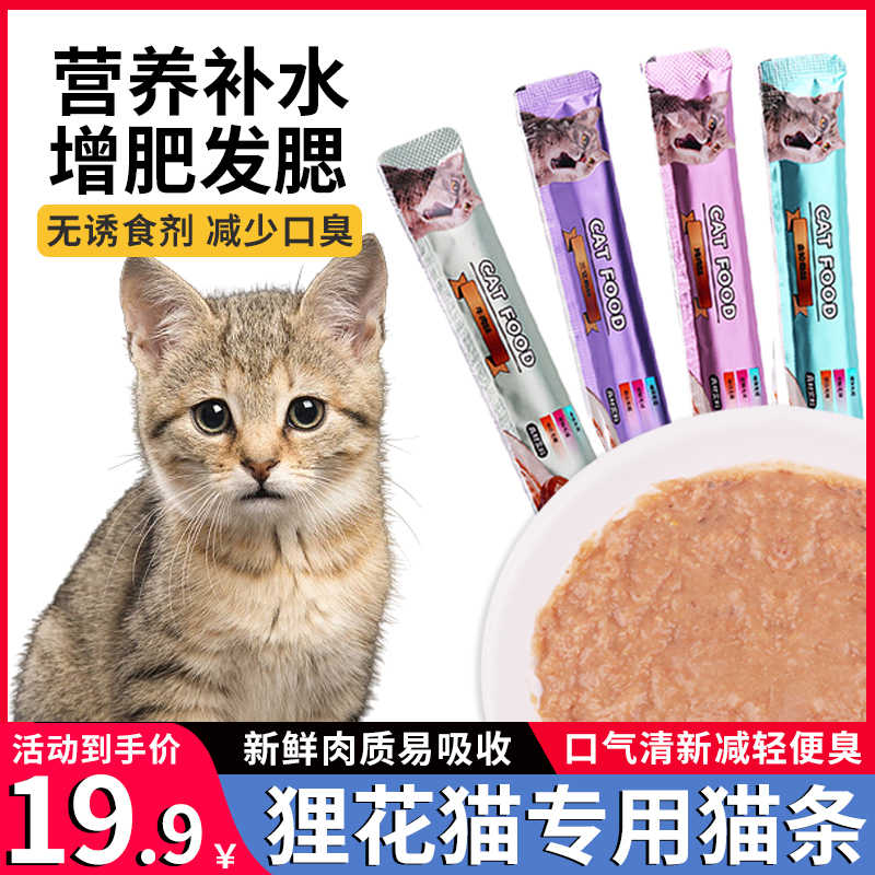 狸花猫 新人首单立减十元 22年6月 淘宝海外