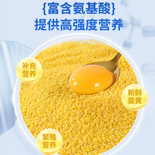 Tiger Skin, Black Phoenix, Peony, жемчужина, яйцо с высоким питанием, просо, птица, попугай, пищевая размножение, пища, пошаговая корм для птиц.