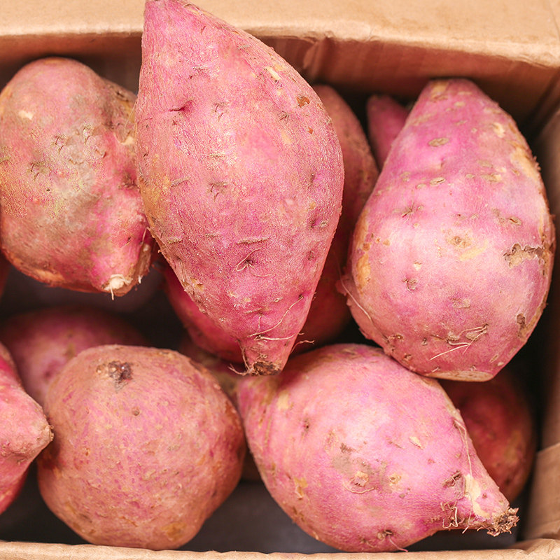 重庆白心助农红皮5新鲜板栗地瓜 果麦颂番薯