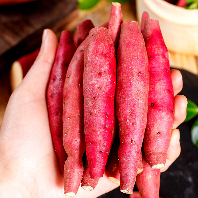 临安天目山小香薯10斤农家小红薯 果麦颂番薯