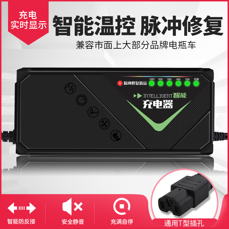 自动关机电动车电瓶充电器48v12ah48v20ah60v20ah72v超威电池天能 - 图3