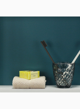 浴室柜花艺墙面装饰摆件全屋定制