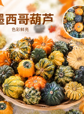 小南瓜墨西哥葫芦摆件挂件装饰墨西哥七彩葫芦手捻小葫芦异形观赏