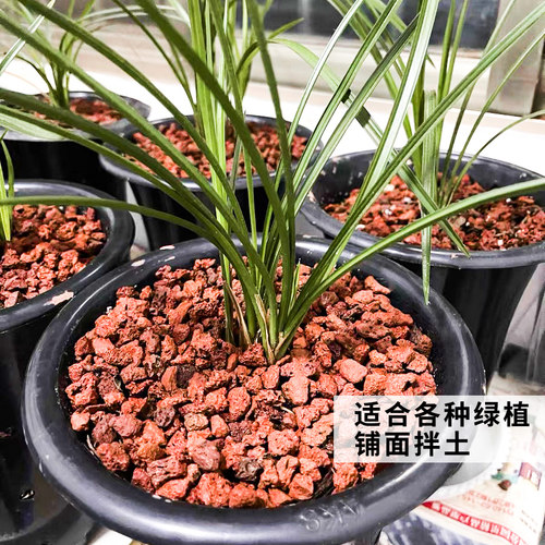 火山石颗粒腾冲精筛乳酸性天然火山岩多肉山乌龟铺面鱼缸水族造景 - 图1