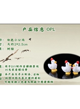 生态瓶盆栽白色微观摄影小摆件