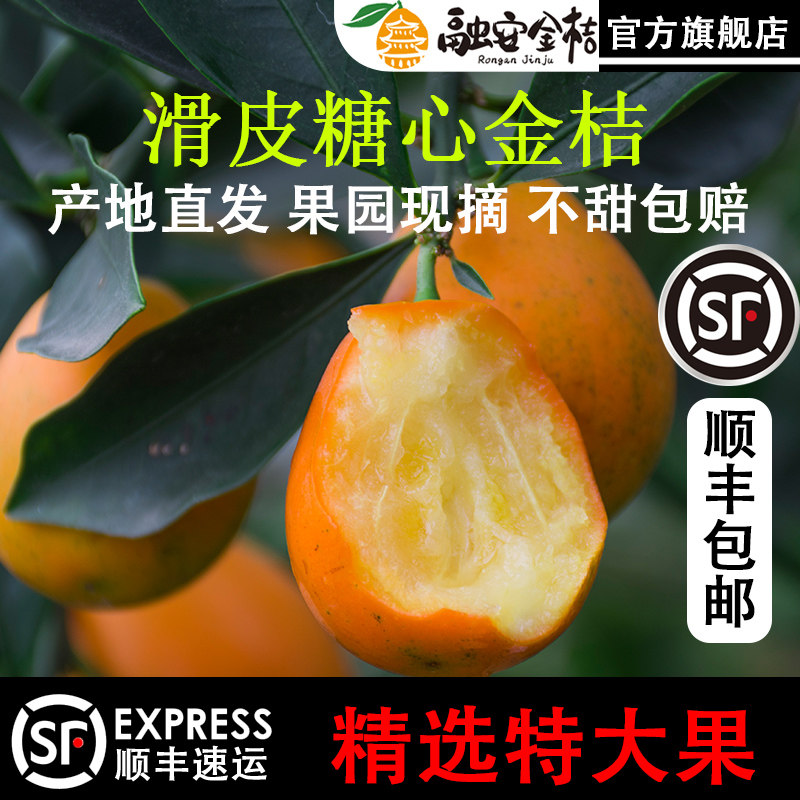 融安金桔官方旗舰店广西新鲜水果滑皮小金橘桔子孕妇大果5斤脆甜,淘宝优惠券,粉丝福利购,淘宝优惠卷