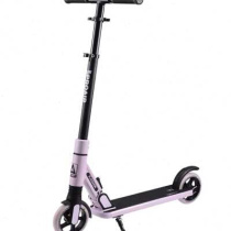 PeShang Children Teens Adults Two Wheels Scooter Can Fold Large Wheel Brush Street Campus City Mens And Womens Steps O