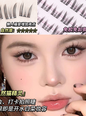 天使全家福多种款式假睫毛