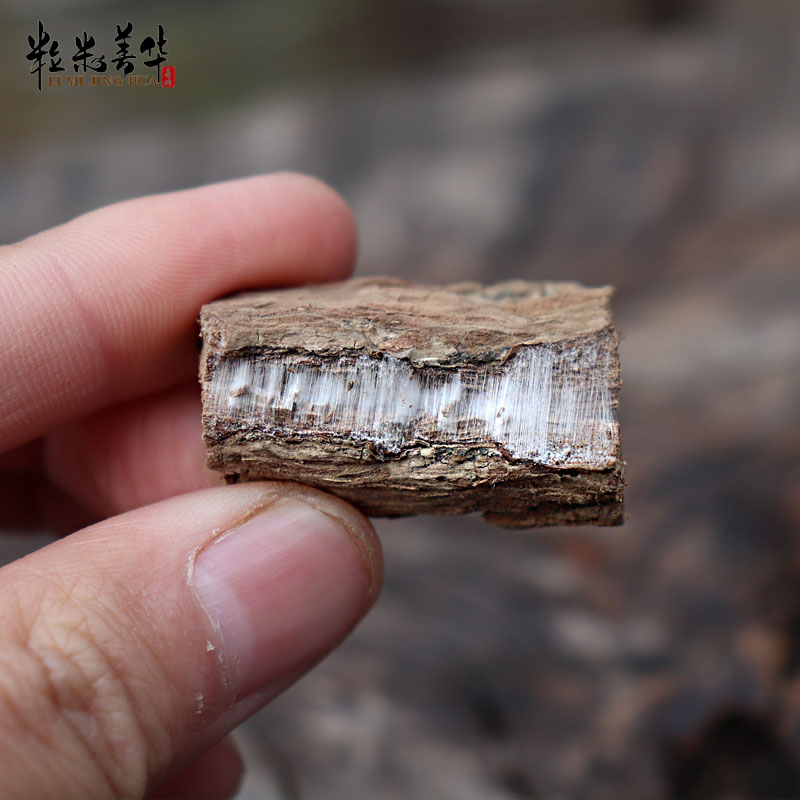 杜仲中药材500g克正品野生杜仲皮杜仲肚仲泡茶泡酒去粗皮杜仲片-图0