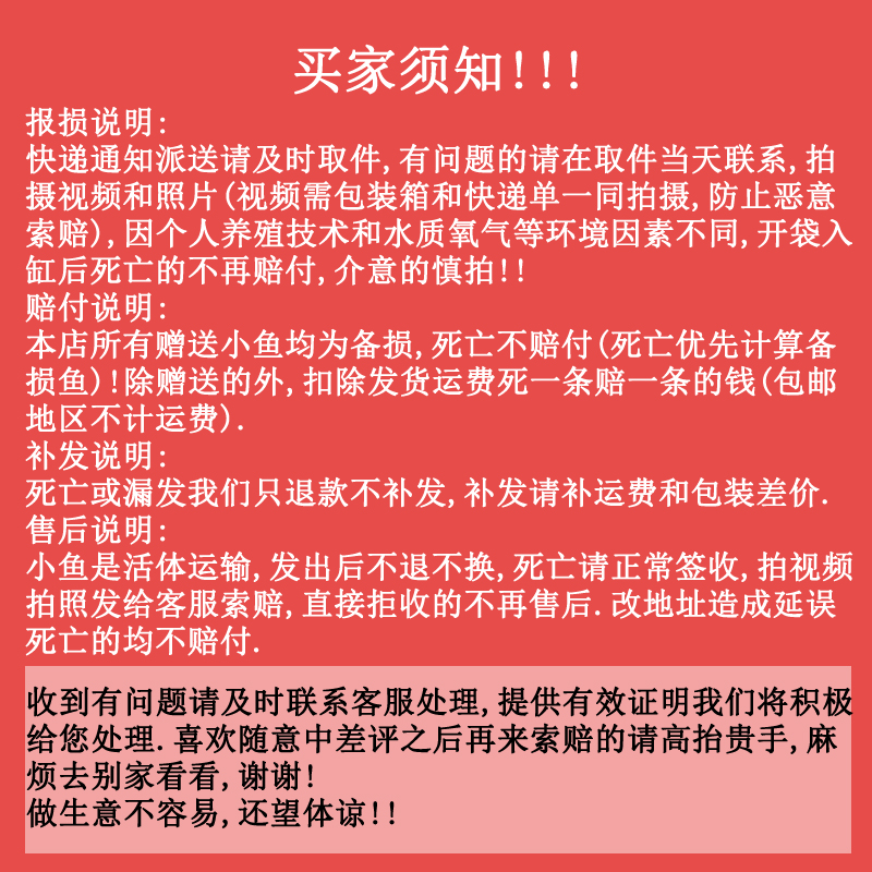 小型热带观赏鱼彩色天使鱼活体水族淡水鱼能群游可繁殖易养耐活 - 图1