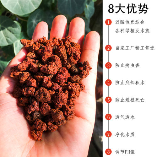 腾冲天然火山石颗粒20斤兰花多肉铺面拌土包邮垫底火山岩水族专用 - 图2