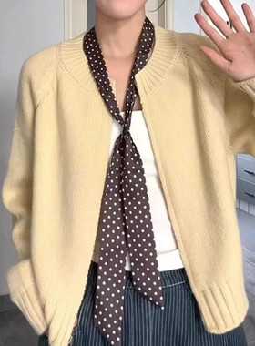 咖色波点长条丝巾女系脖高级感韩系丝带脖饰2025春季新款配饰颈饰