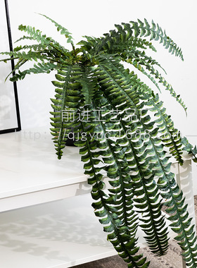 仿真植物蕨类波斯蕨排草
