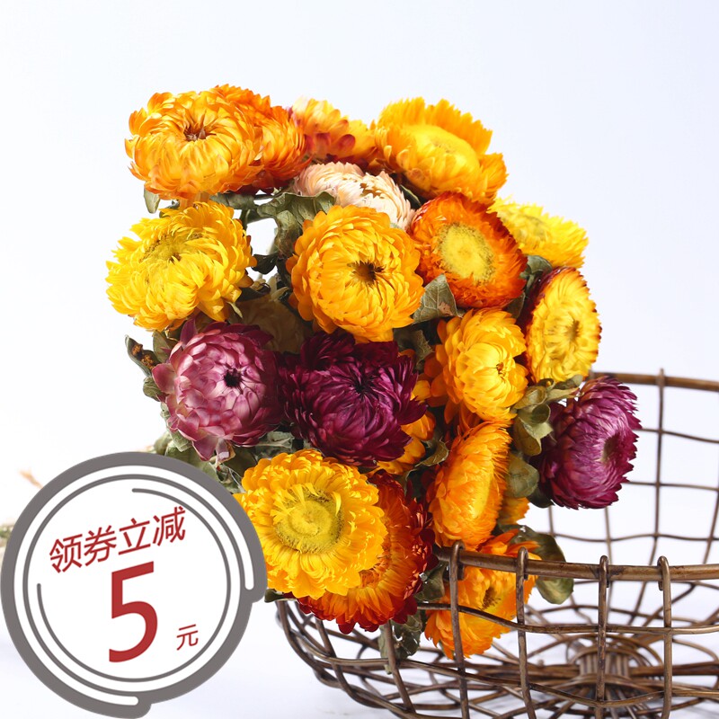 菊花花束推荐品牌 新人首单立减十元 21年6月 淘宝海外