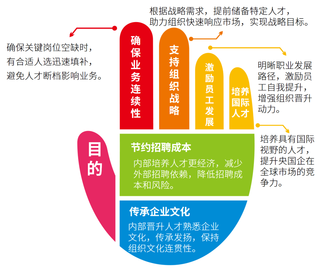 人才梯队建设资料精益员工储备方案继任体系规划流程管理模型ppt