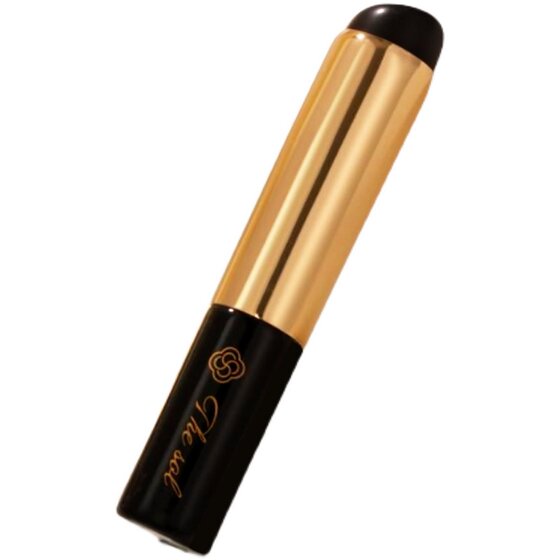 Thesol Hebei Cangzhou silicone lip brush
