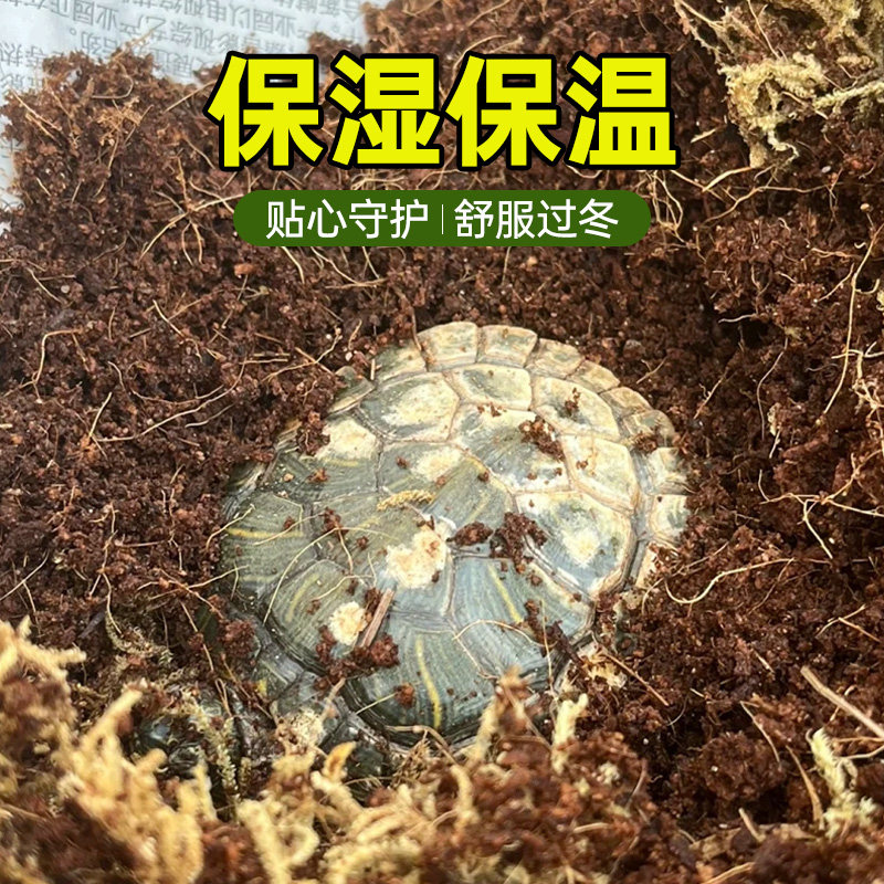 椰砖爬宠乌龟冬眠专用寄居蟹椰土垫料用品椰糠苔藓椰子土壤椰壳砖,淘宝优惠券,粉丝福利购,淘宝优惠卷