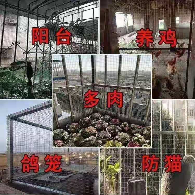 新客减1.2厘米孔加粗镀锌铁丝网电焊网片网格阳台防护网防鼠小孔 - 图3