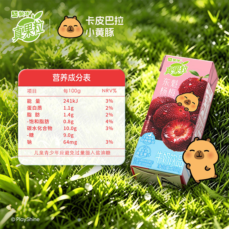 真果粒杨梅黄桃葡萄芦荟草莓味牛奶饮品2箱