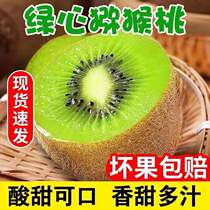 Shaanxi Week to Green Heart Kiwifruit Fresh 10 Big fruits When the whole box of fruit catty pregnant women make kiwifruit