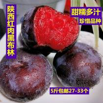 Shaanxi Red Heart Red Meat Black Bryn Plum Flavor Rose Now to Make Fresh Fruit 5 Catties When Pregnant Woman