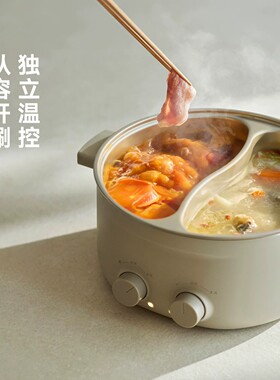 德国新款双全6升大容量电热火锅